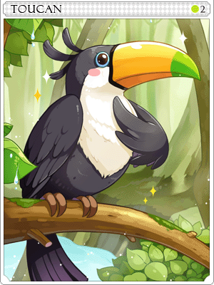 Toucan Card artwork