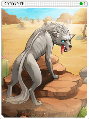 Coyote Card artwork