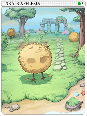 Dry Rafflesia Card