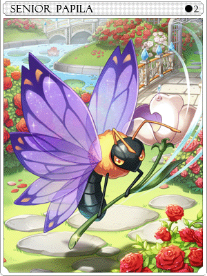 Senior Papila Card