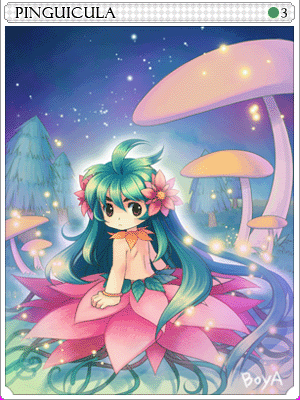 Pinguicula Card artwork