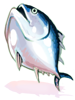 Fresh Tuna Amulet