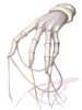 Evil Spirit Gloves
